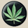 growweedhowto