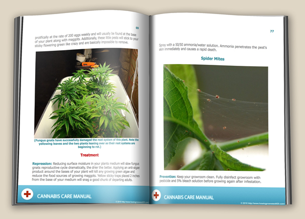 marijuana nutrients