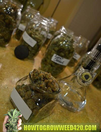 dank-smoke