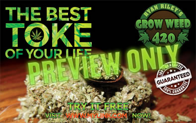 View this 420 girls weed gallery.