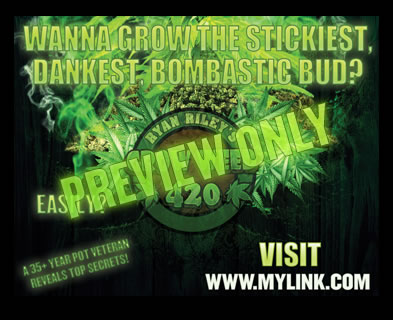 Get stoned to this awesome music here!