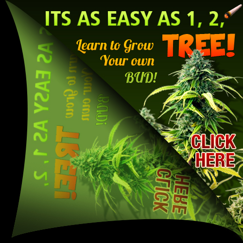 Get pounds of marijuana for a dank smoke for free online.