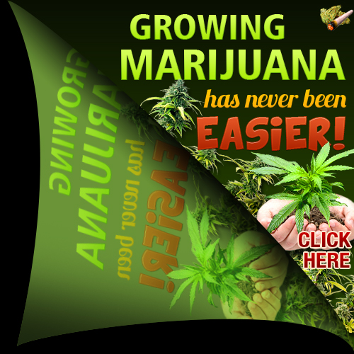 Grow privacy without getting caught weed.