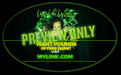 aeroponic marijuana systems inside.