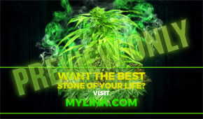 how to grow the best weed indoors