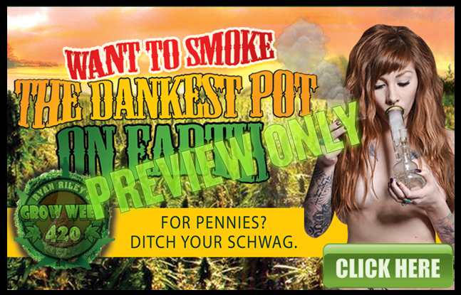 These people really stand out in the weed crowd.