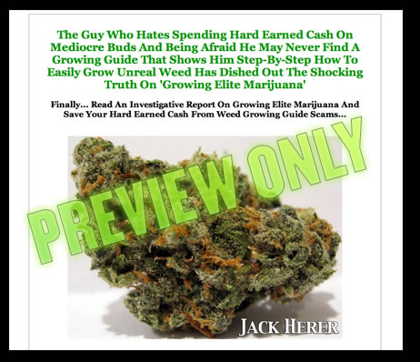 Find out how to grow weed in cannabis college located in Amsterdam.