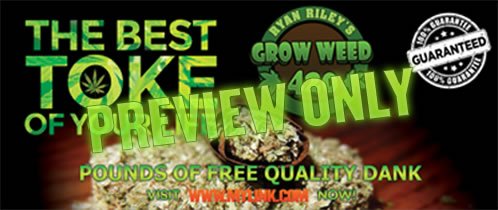 Find these tips for cannabis cultivation with a world expert in this article.