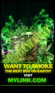 learn how to grow weed cannabis cup winning strains of 2017