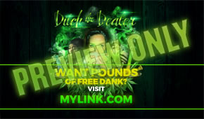 growing weed is dank, fun, and easy with Ryan Riley.