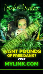 how much can you yield, you'll discover how much to grow.