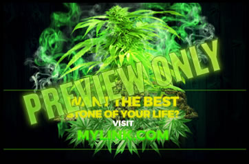 How do you grow your own weed? Well it's discovered right here.