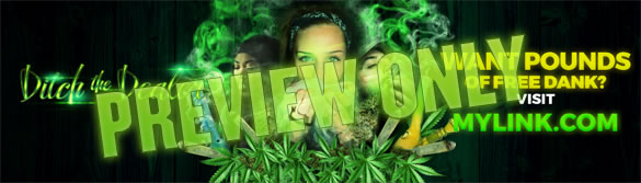 read about the best high reports anywhere for dank marijuana growing.