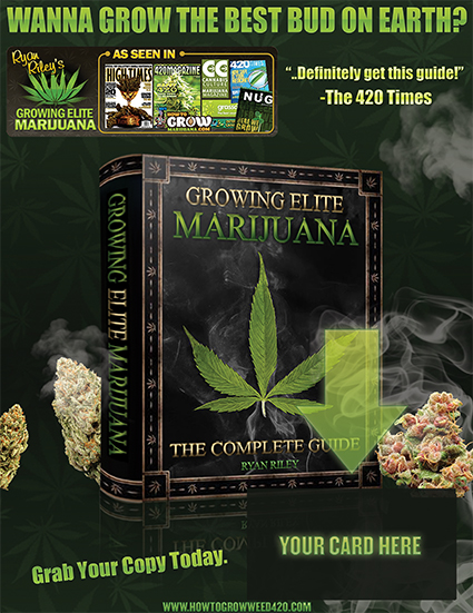 Harvest tutorials for growing weed - pounds of bud.