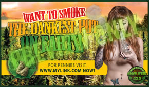 Grow the dankest purple kush for beginners with Ryan Riley's guides.