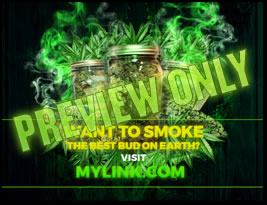 The dankest stickiest bud, while harvesting weed in a grow closet.