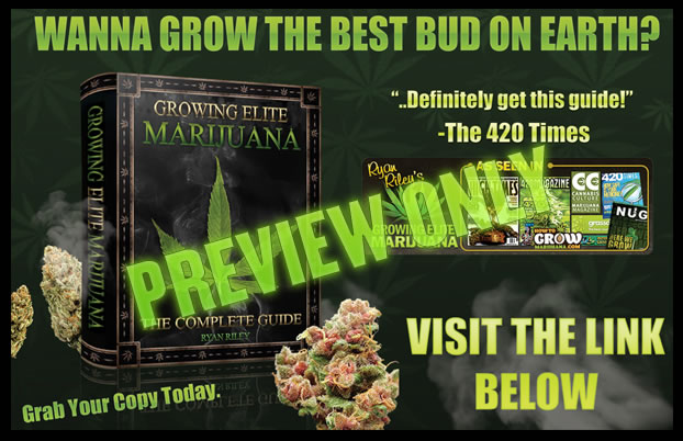 Grow the biggest bud with this LED grow lighting system.