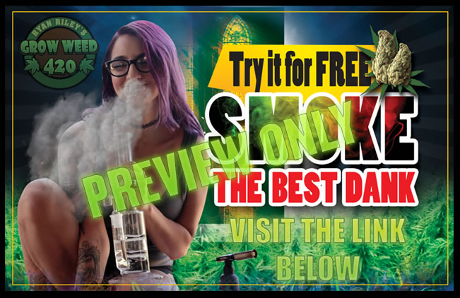 Check out these funny marijuana memes.