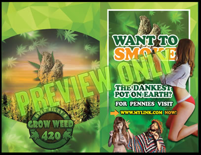 Grow weed with these LED Grow lights