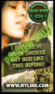 Learn how to grow weed with this #1 series of steps shown here.