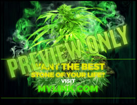 Using mylar for how to grow weed is essential.