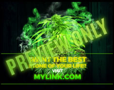 learning how to grow your own marijuana can be easy for beginners with these tips.