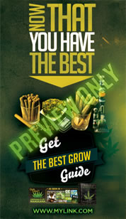 See how good are LED grow lights for growing marijuana.