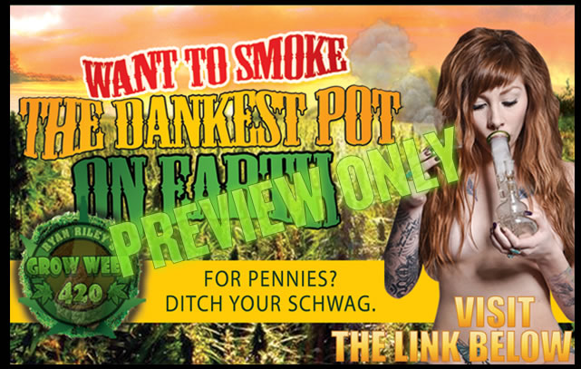 Find out how fast you can grow weed here.