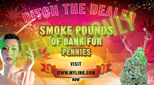 How fast does it take to grow your own marijuana weed, find out how now!