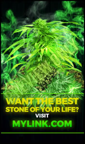 Findo ut if growing your own weed is hard with these grow tutorials!