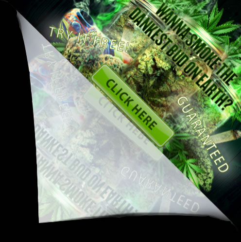 Marijuana hd photo gallery.