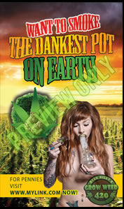 Check out the best LLED grow lights for growing your own marijuana.