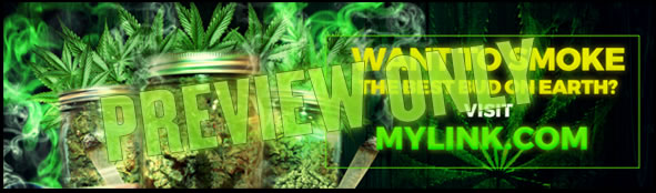 legalize it with this marijuana bumper sticker.