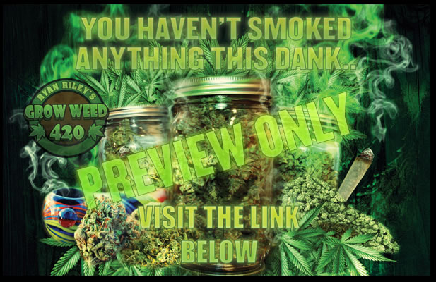 Free marijuana lighting timing.