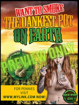 LED growing lights for growing marijuana.