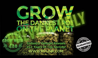 See this how to build marijuana grow room tutorial for THC rich frosty nugs.