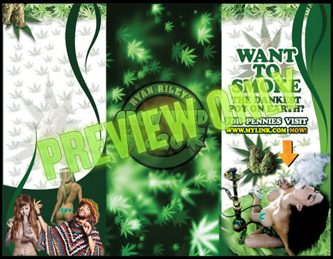 MArijuana growing lights for indoor growing HPS or MH which is better.