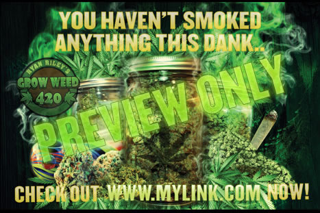 Be wary of these classic newbie pitfalls when growing your own bud!