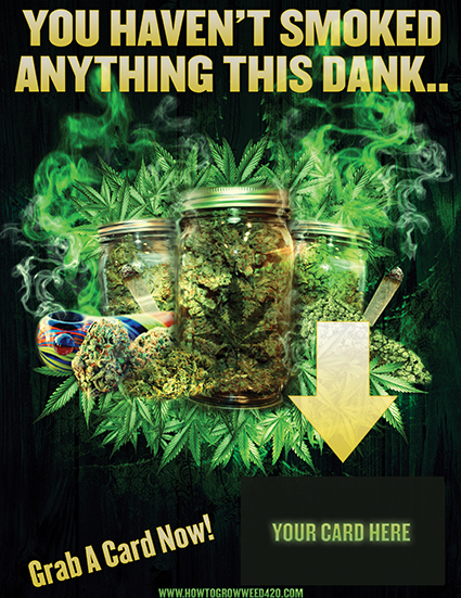 Find these marijuana tricks with a growing weed video in our gallery!