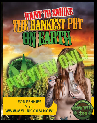 Find out how to use FIMMING for pruning & training cannabis plants.