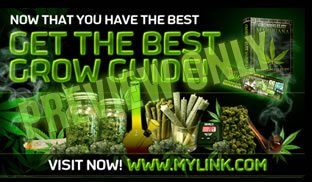 The best marijuana reviews bud bible on Earth ganja.