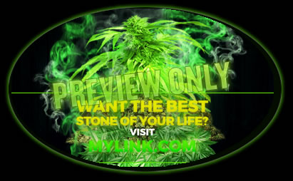 nutrient maintenance hydroponic grow weed tonight.