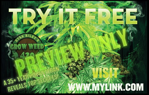 Growing organic marijuana for dispenacry or medicinal use at home is a great way to heal yourself.