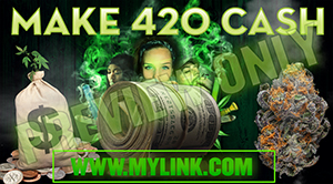 Ditch your schwag and grow the best weed at home for beginners.