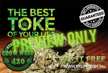 Thc marijuana world class weed is right here.