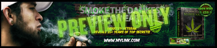 Learn how to grow weed with the best grow guide tips with these tutorials indoors or outdoors we tell you which is better for beginners.