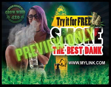 Check out this comprehensive list for the best marijuana weed online grow.