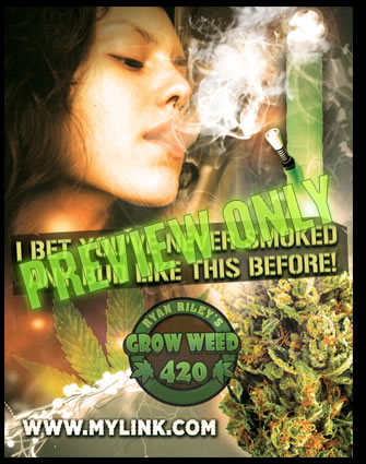 Marijuana seedbank reviews in this full detailed report.