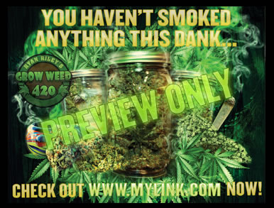 How to top colas massive bud growing weed techniques.