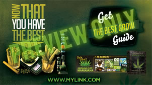 Find out the best nutrients for growing your own weed.